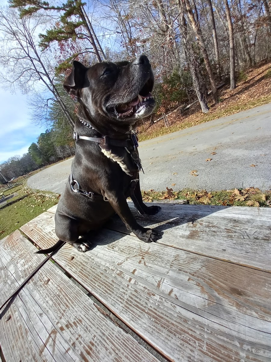 Harrison Bay State Park Campground Loop C