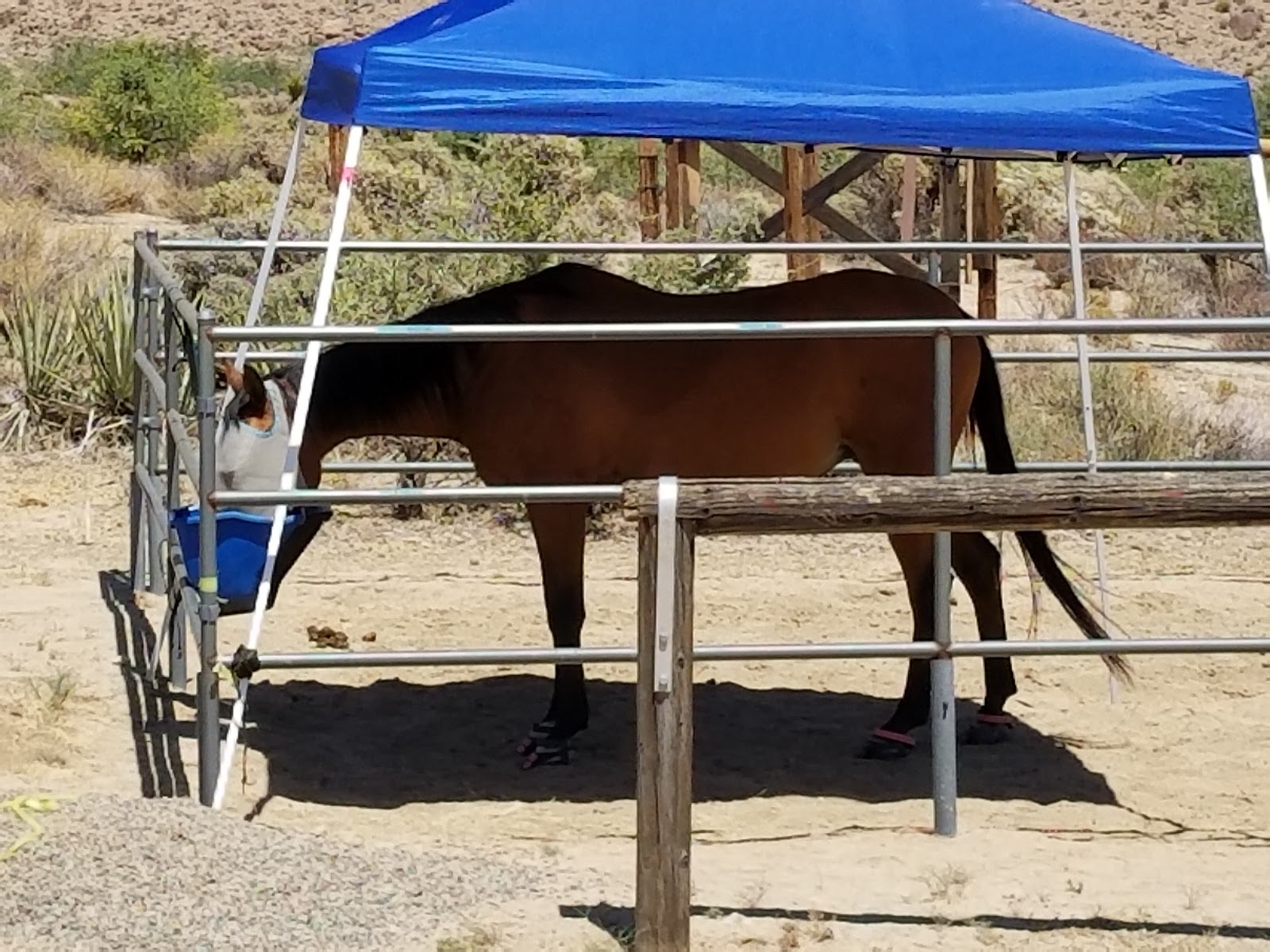 Black Canyon Group and Equestrian Campground