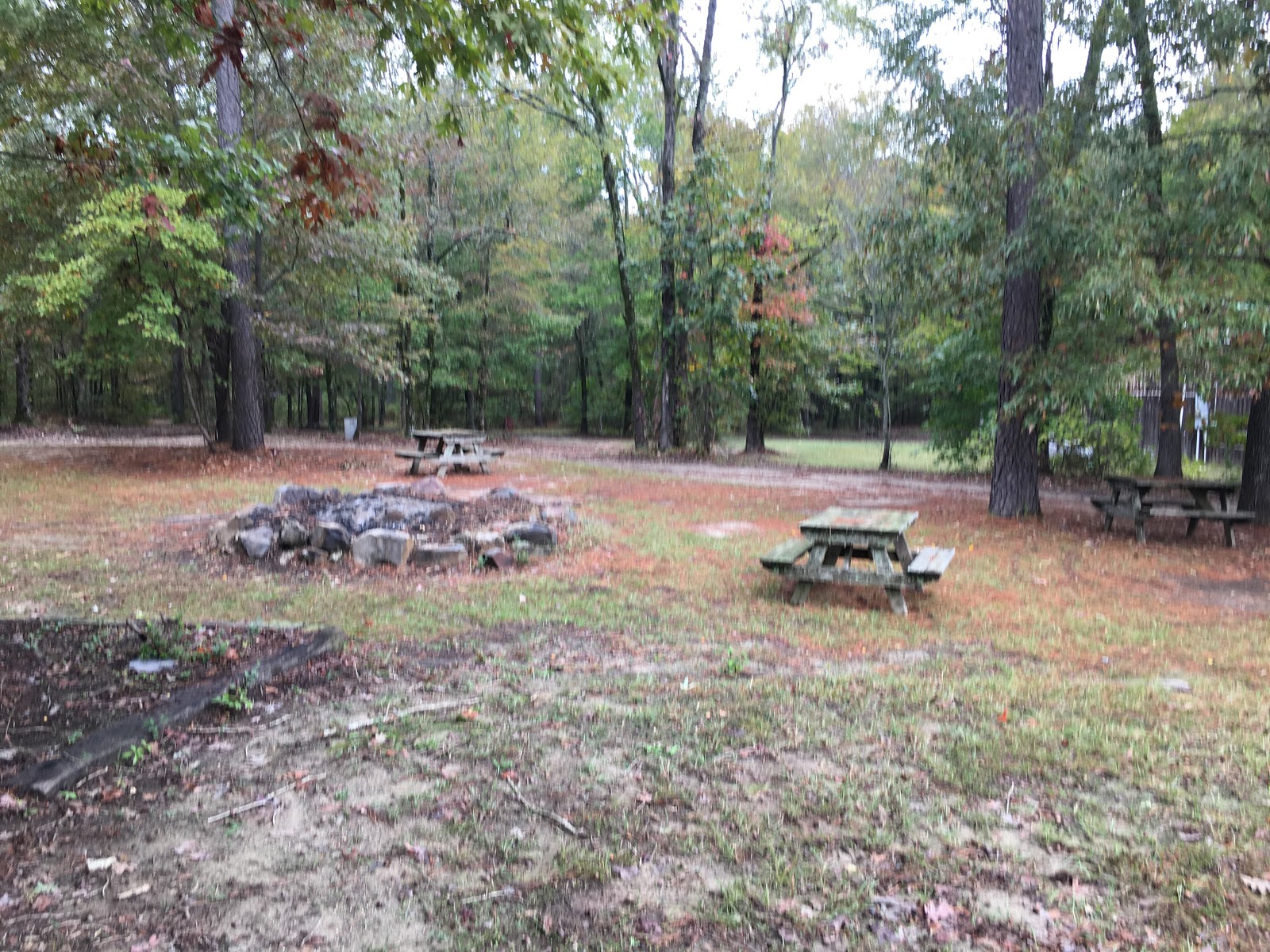 Bar Fifty RV Park & Horse Camp