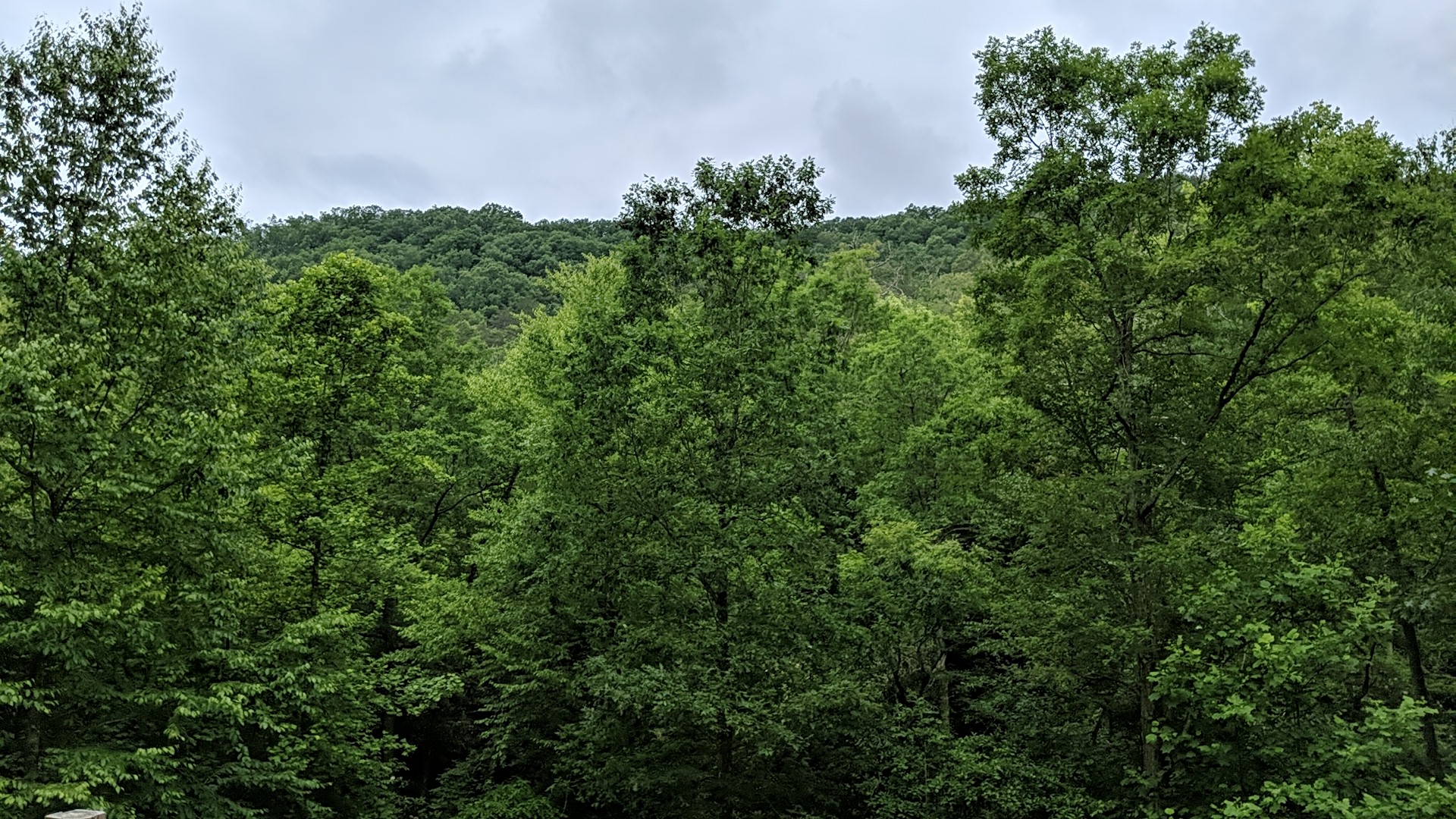 Pounding Mill Creek Estates