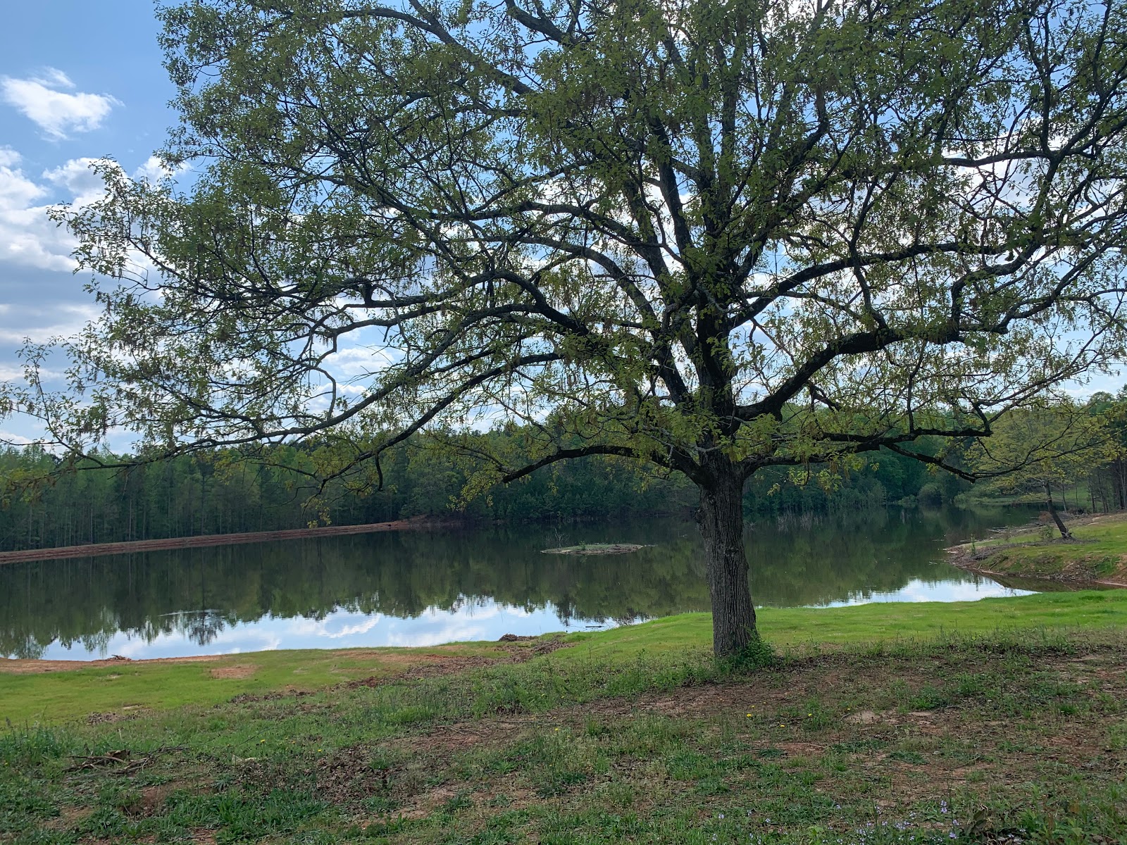Wimp's RV Park on the Lake
