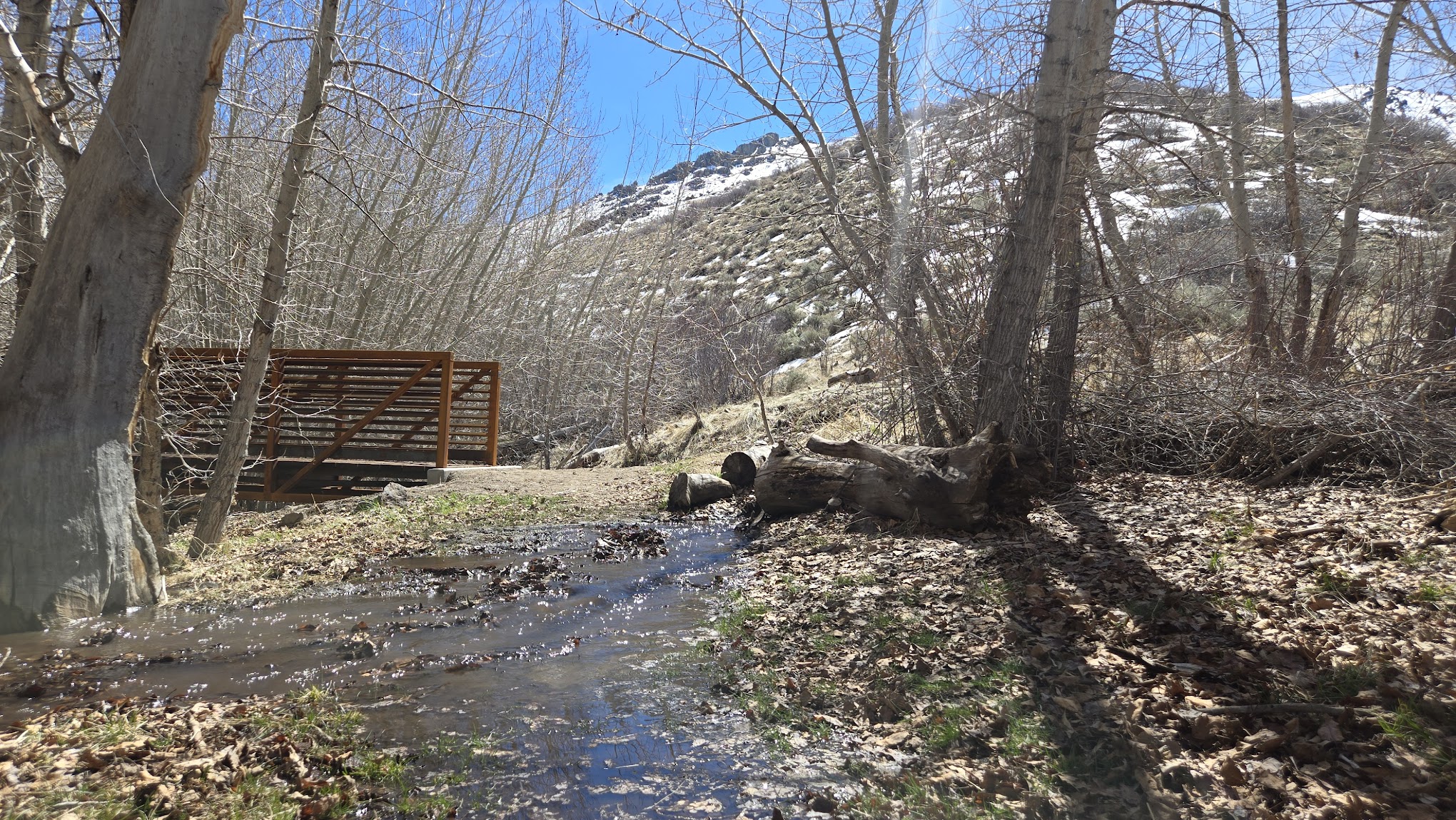 Water Canyon Campground