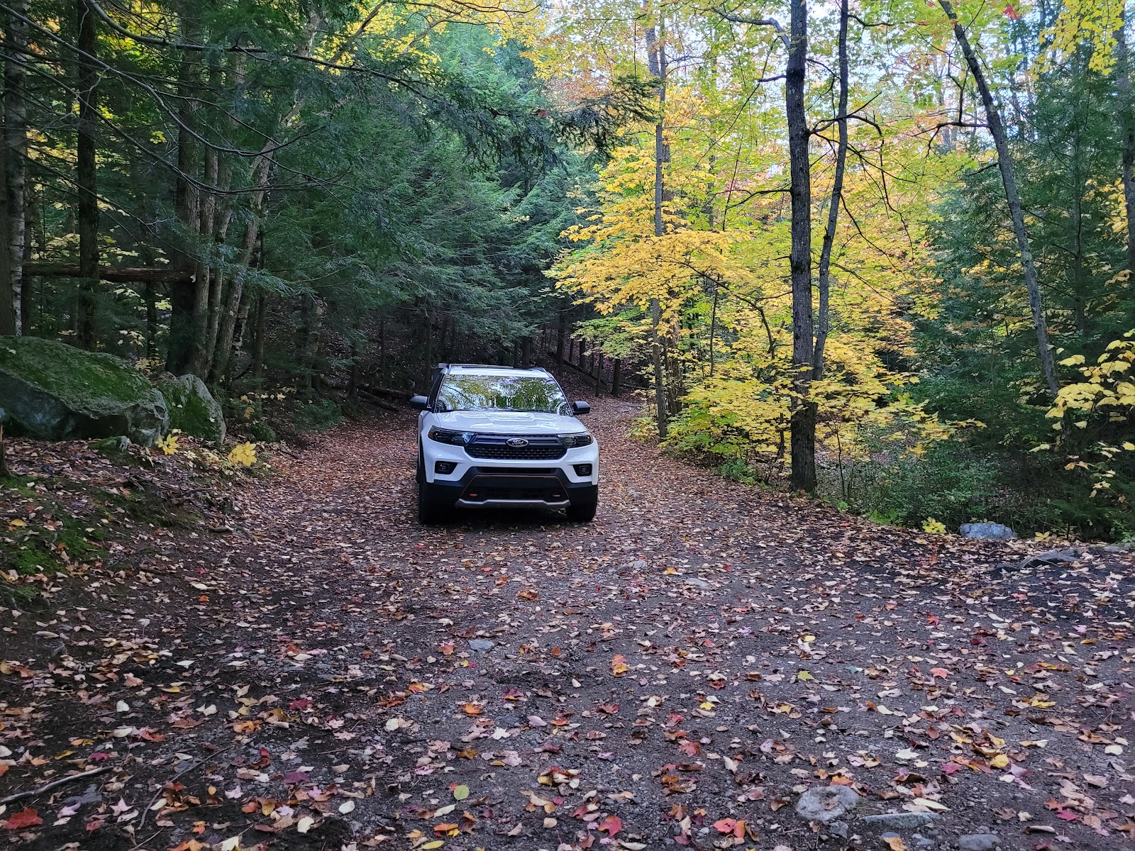Chapel Pond Campsites
