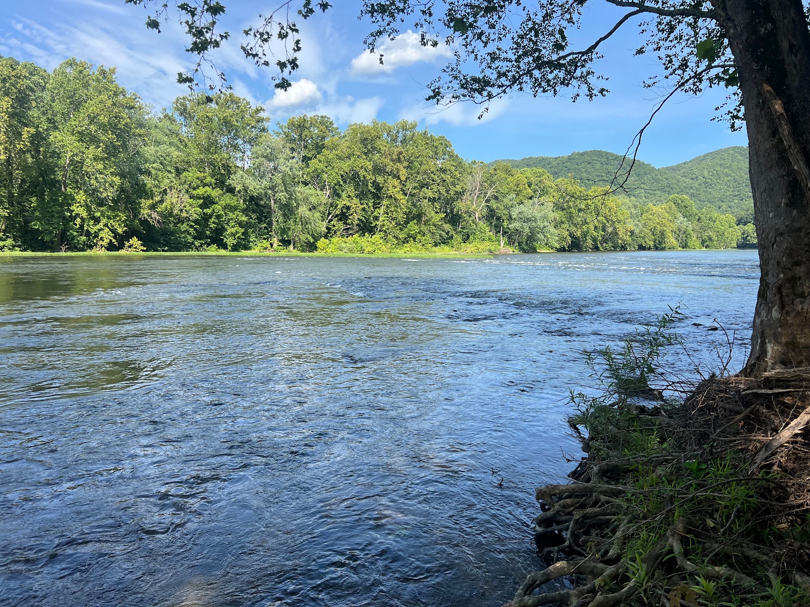 Smith Tract Campground