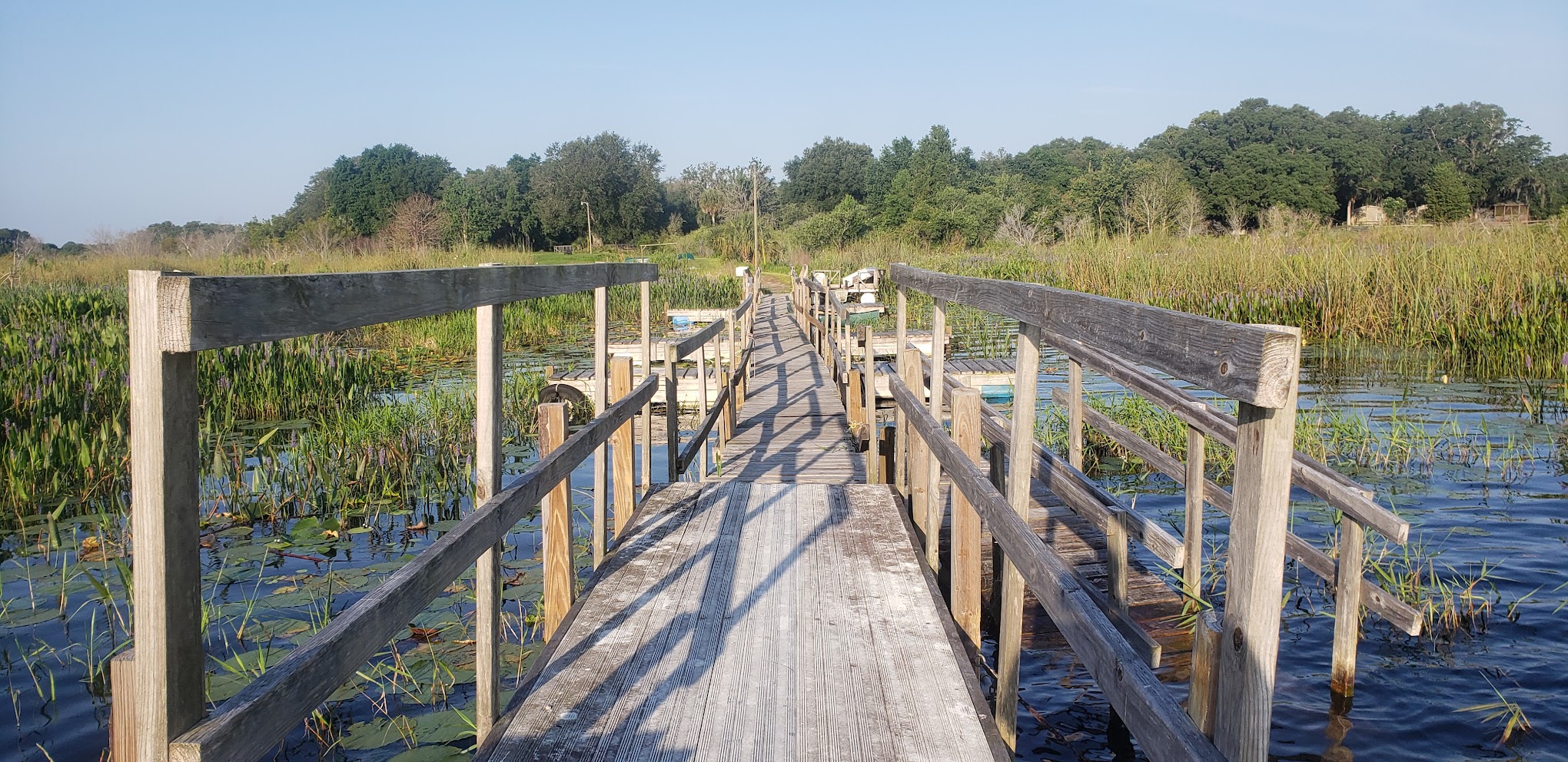 Lake in the Forest RV Resorts