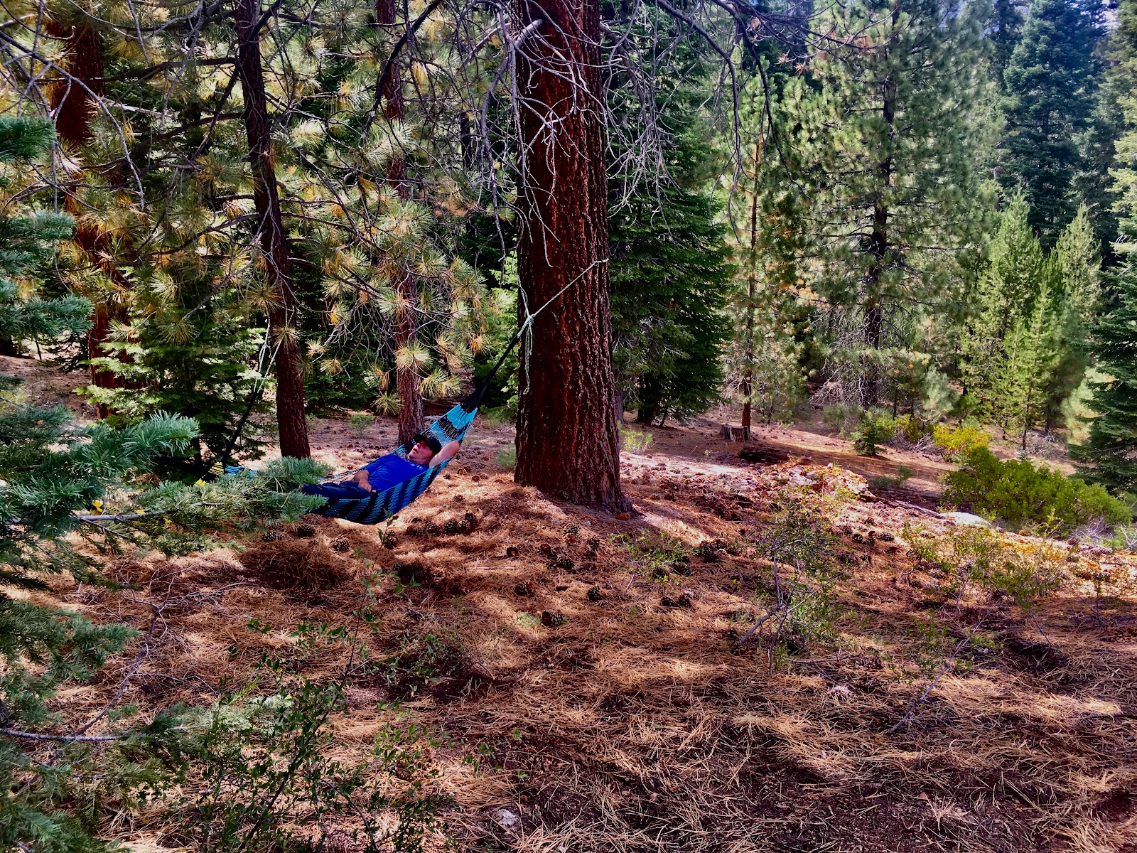 Upper Peppermint Campground