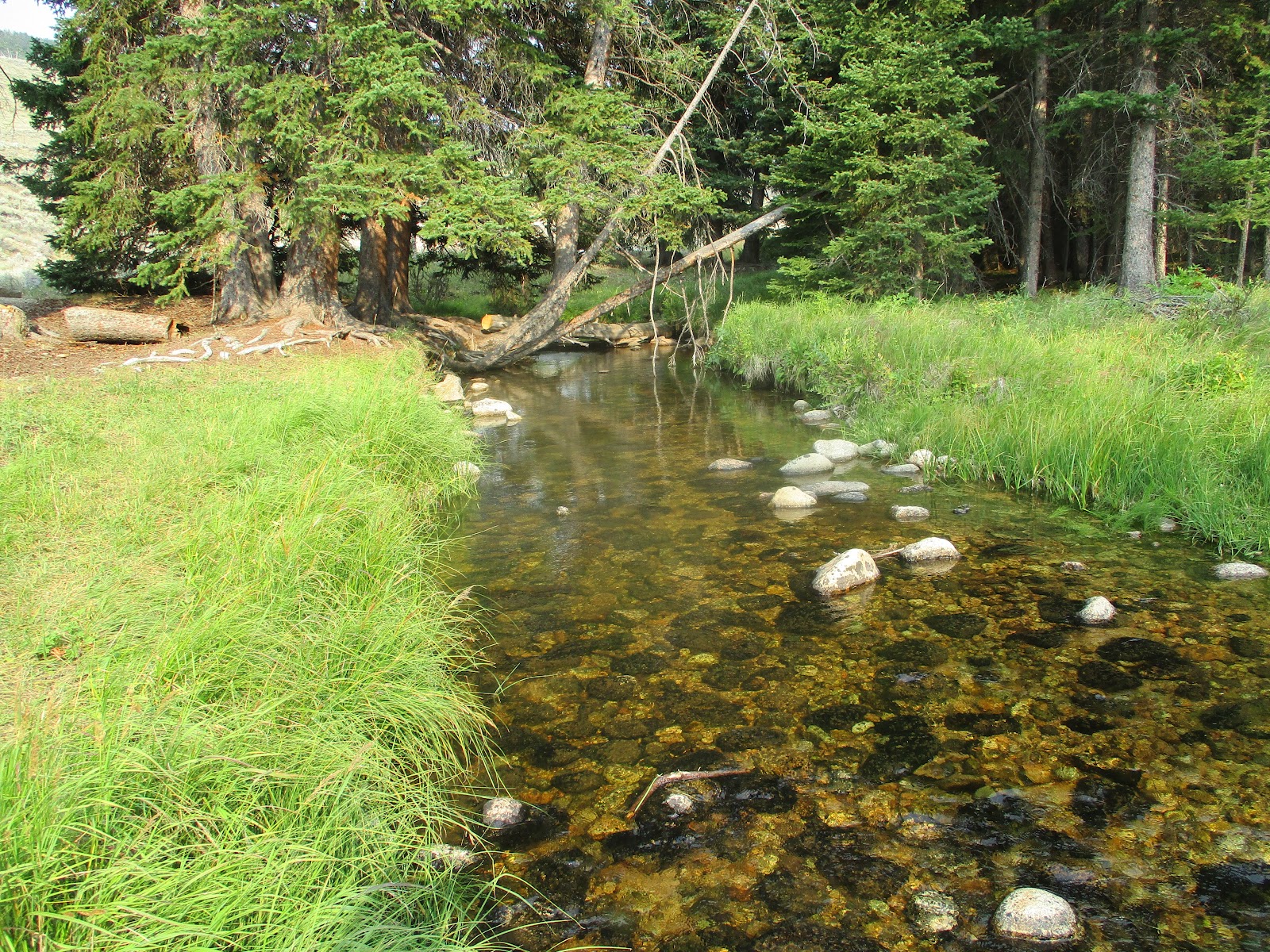 Shell Creek Campground