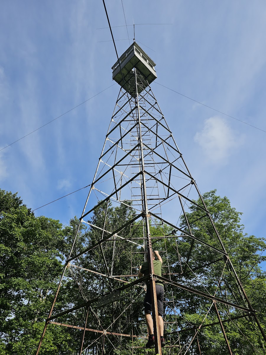 Deboullie Pond East Campsite