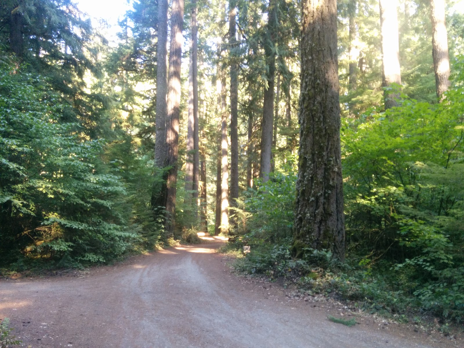 Limberlost Campground