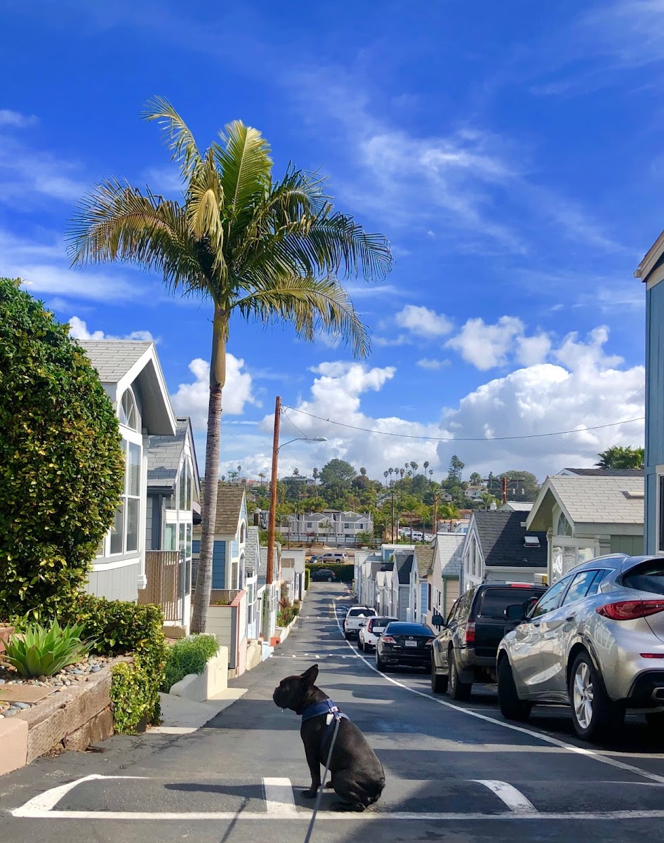 Sands Mobile Home Park