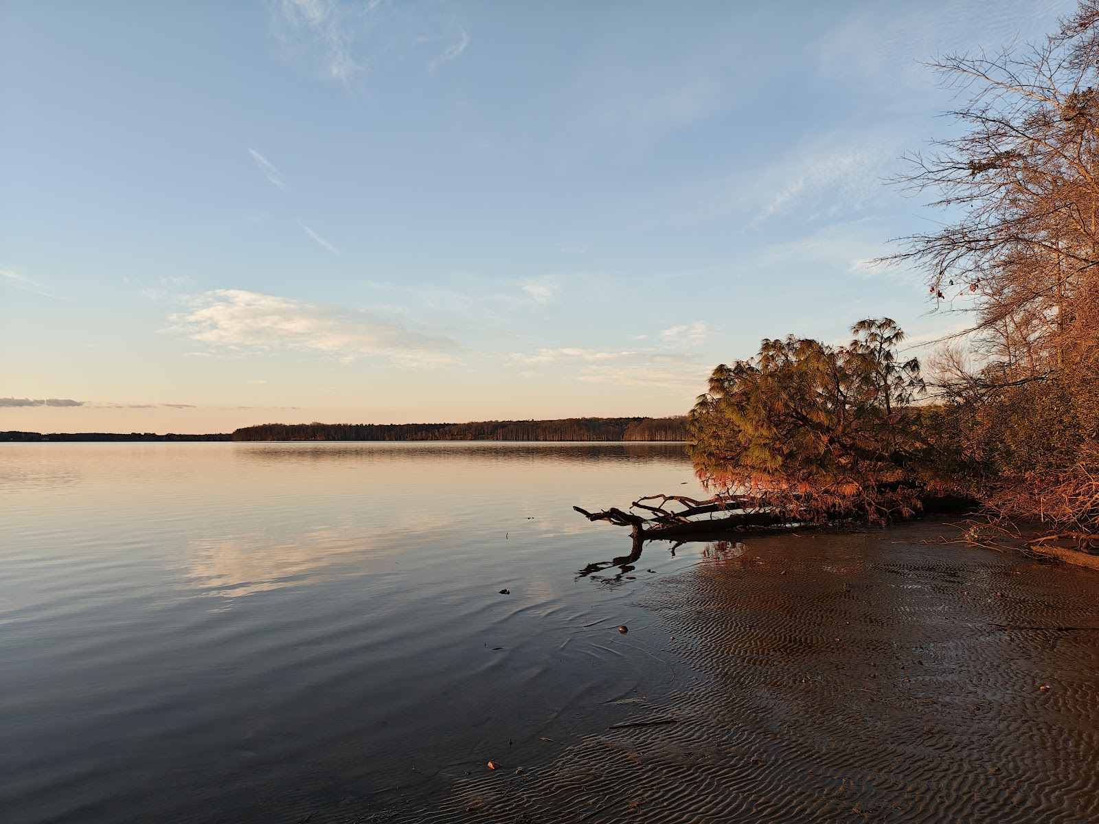 Chickahominy wildlife Management