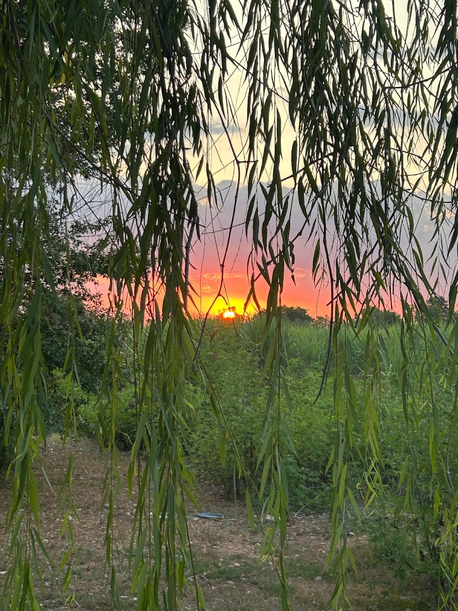 Born On Da Bayou RV Park