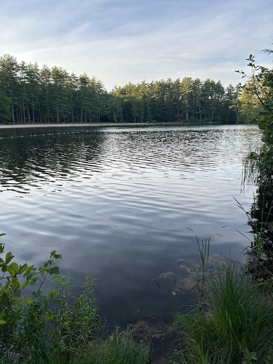 Puckaway Sands Resort