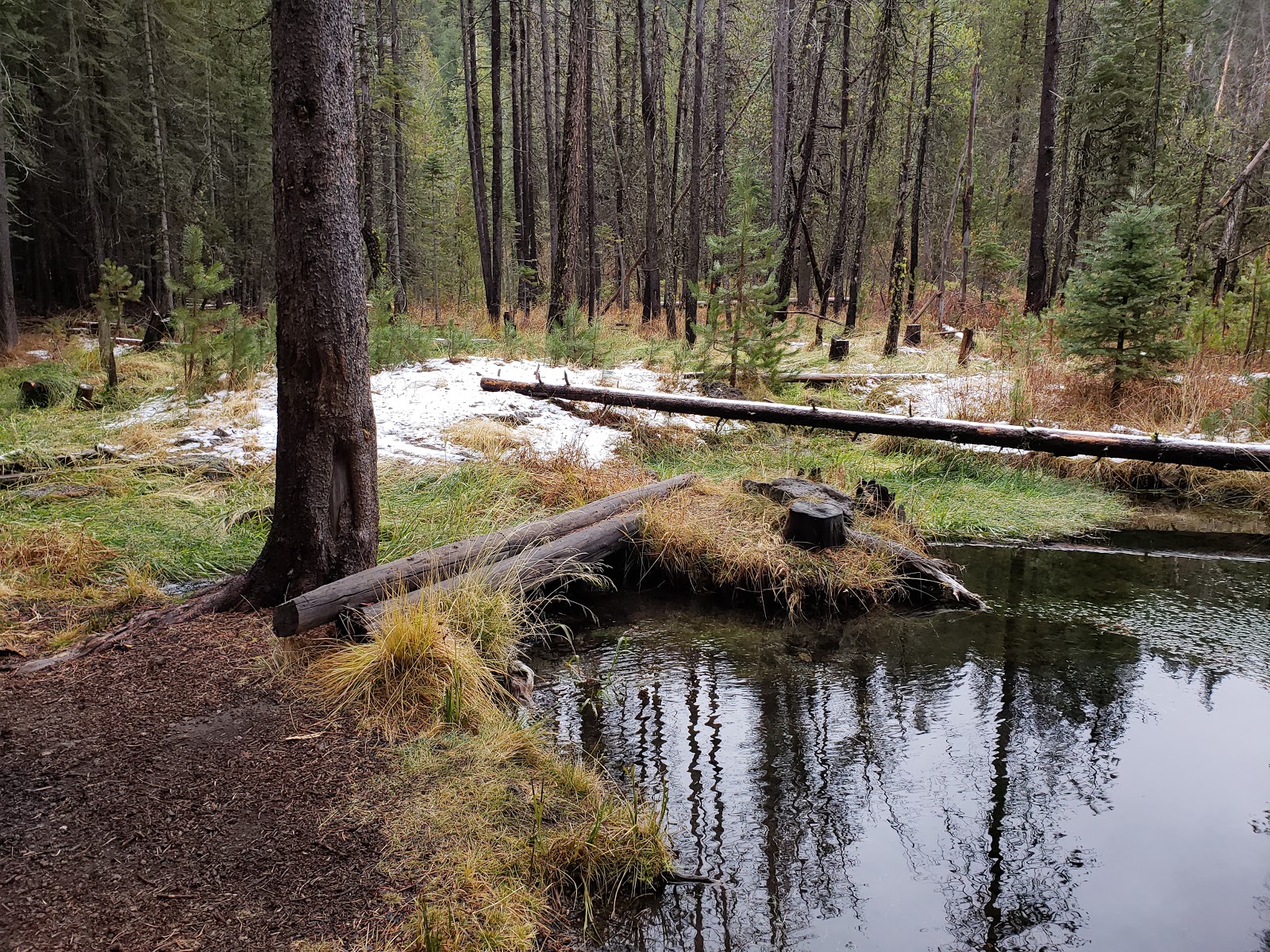 Willow Spring Campground
