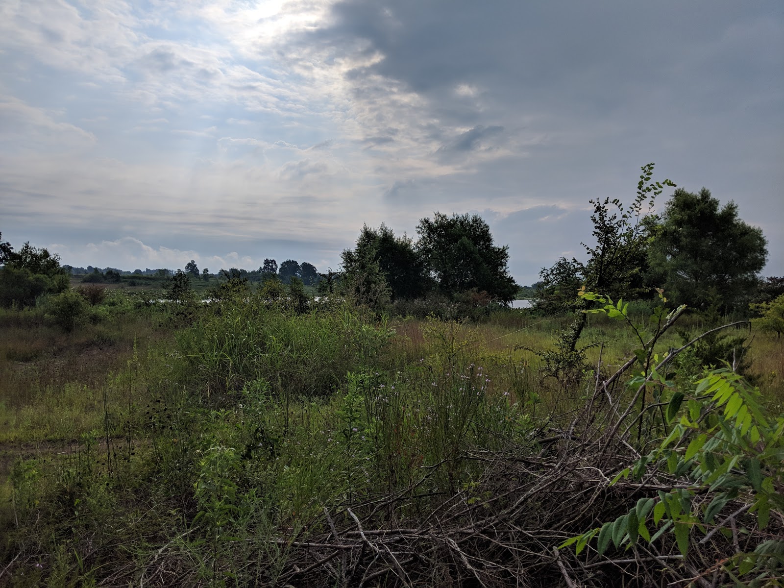 Tom Ellis White Campground