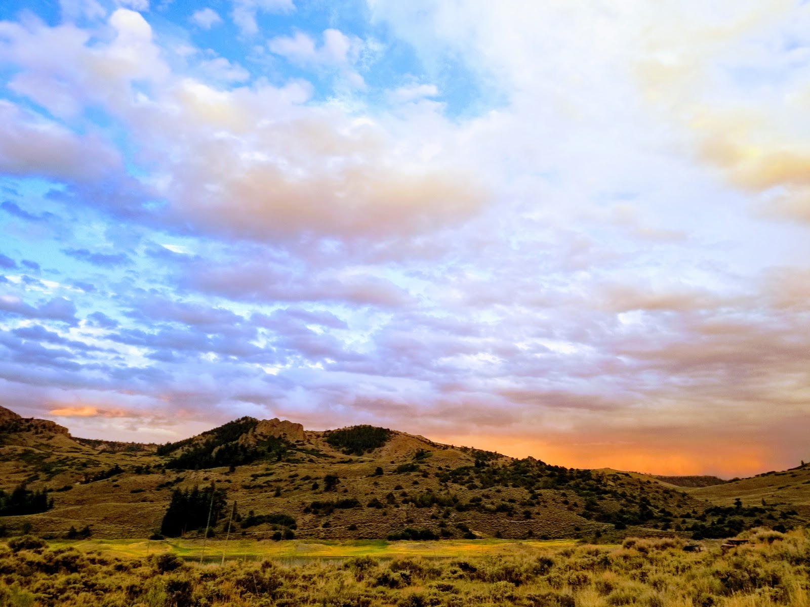 Ponderosa Campground