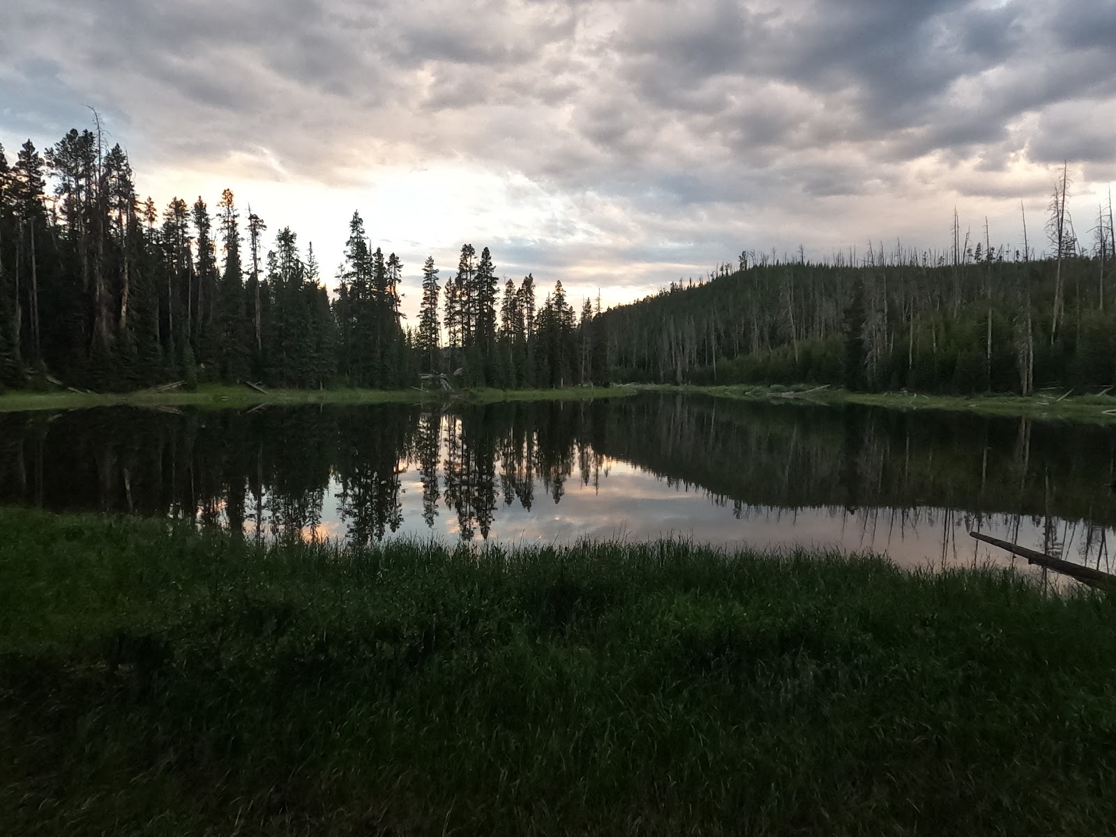 Wapiti Lake