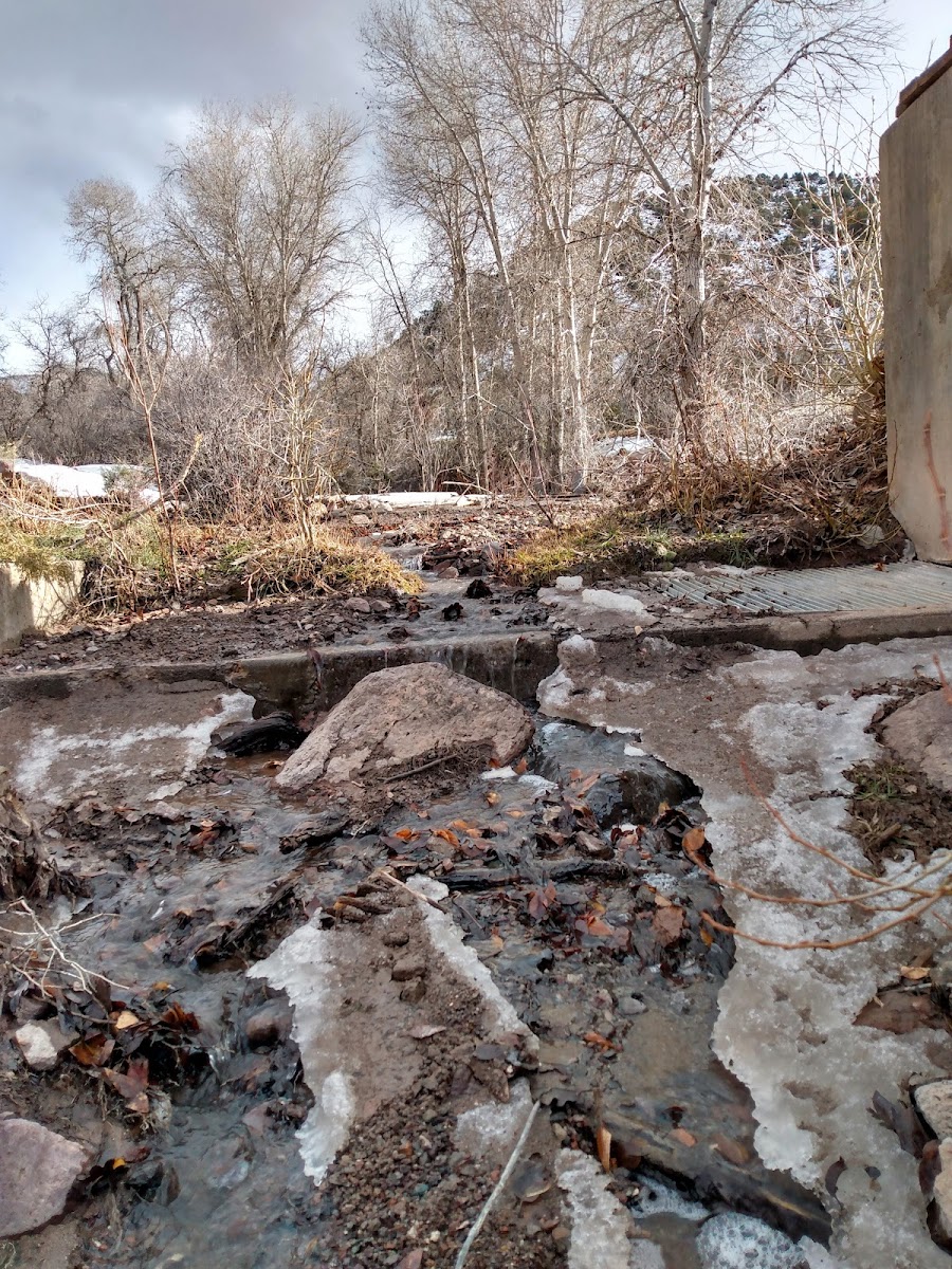 Saul's Meadow Campground