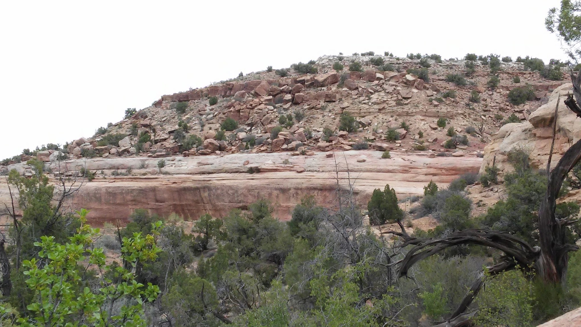 Rabbit Valley Campground