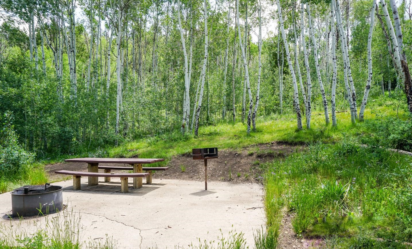 Currant Creek Campground Loop D