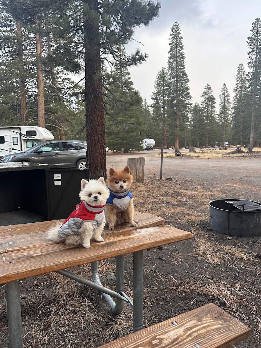Glass Creek Campground, Inyo NF