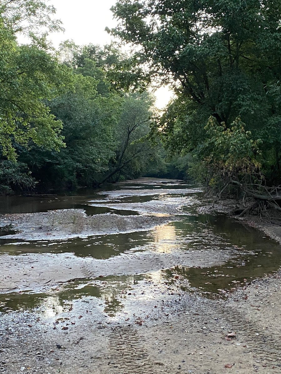 Piney Fork Adventures