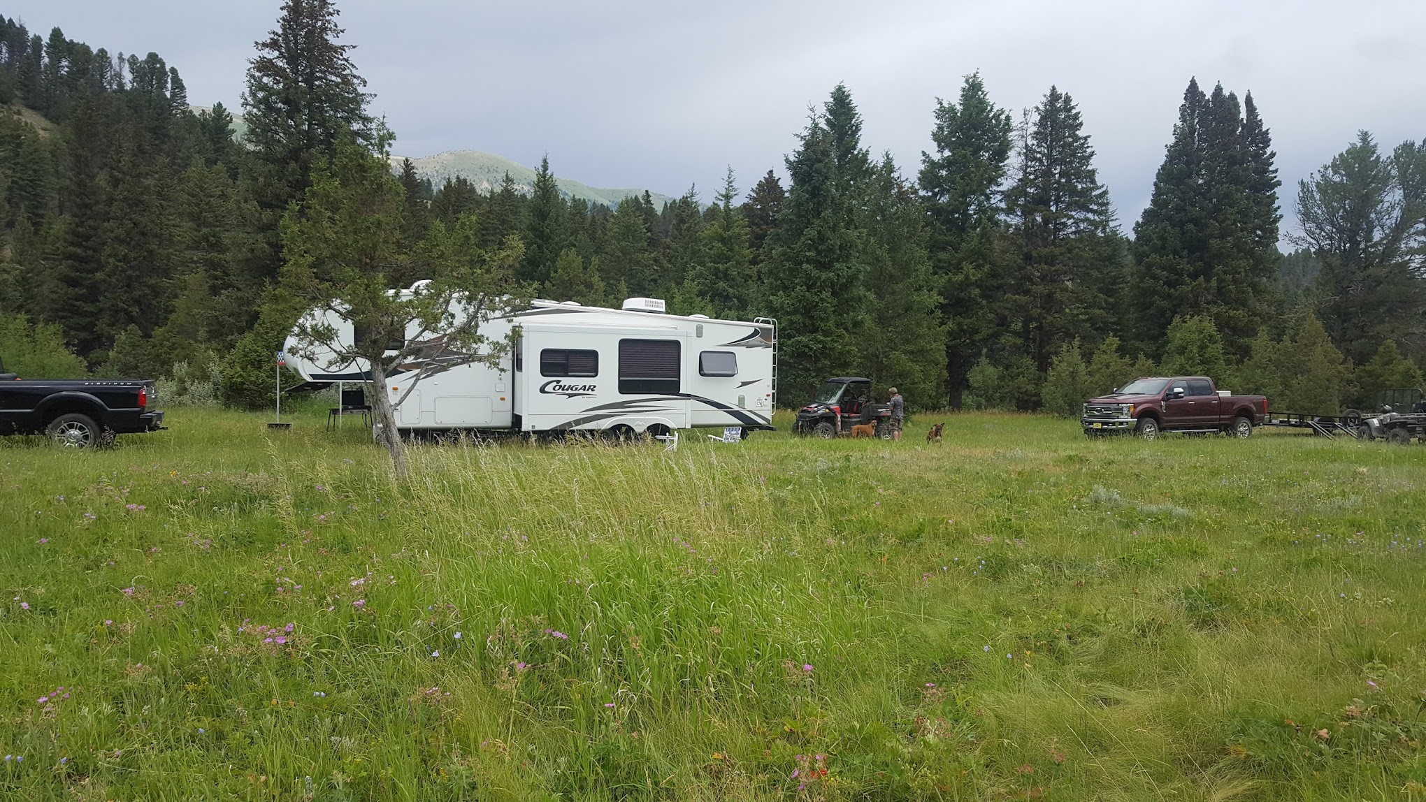 Cottonwood Campground