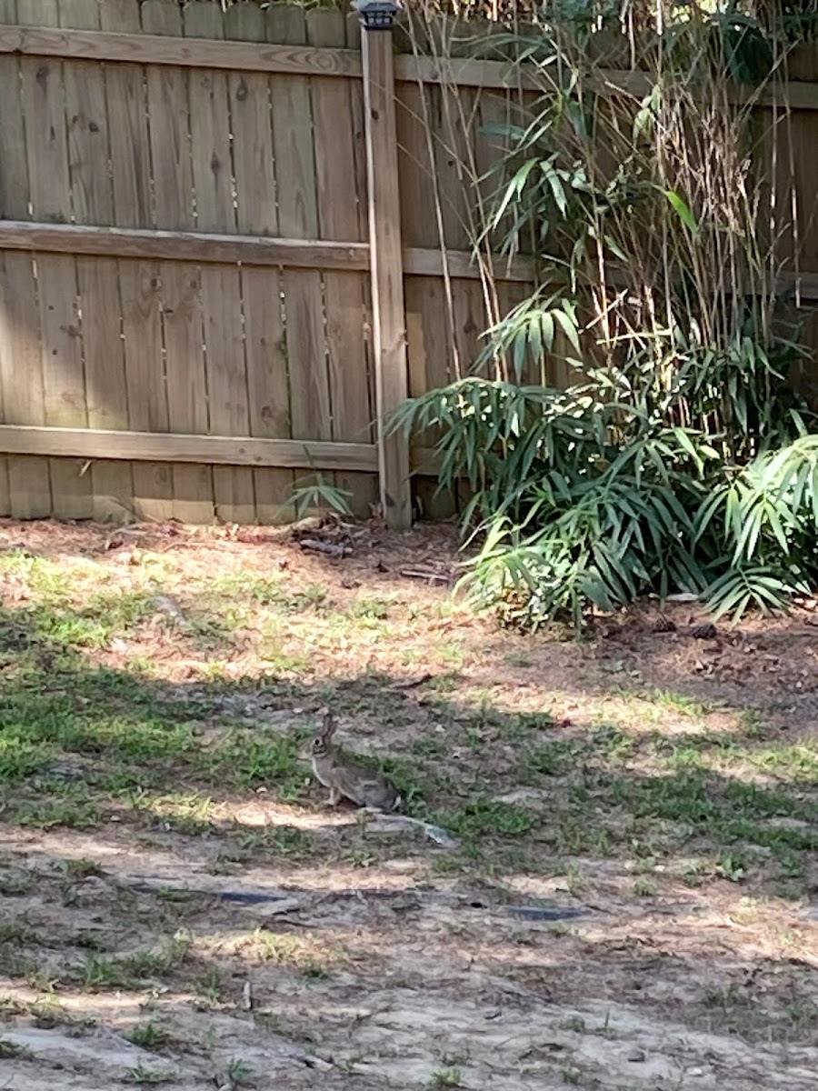 RidgeRdRvPark L.L.C.