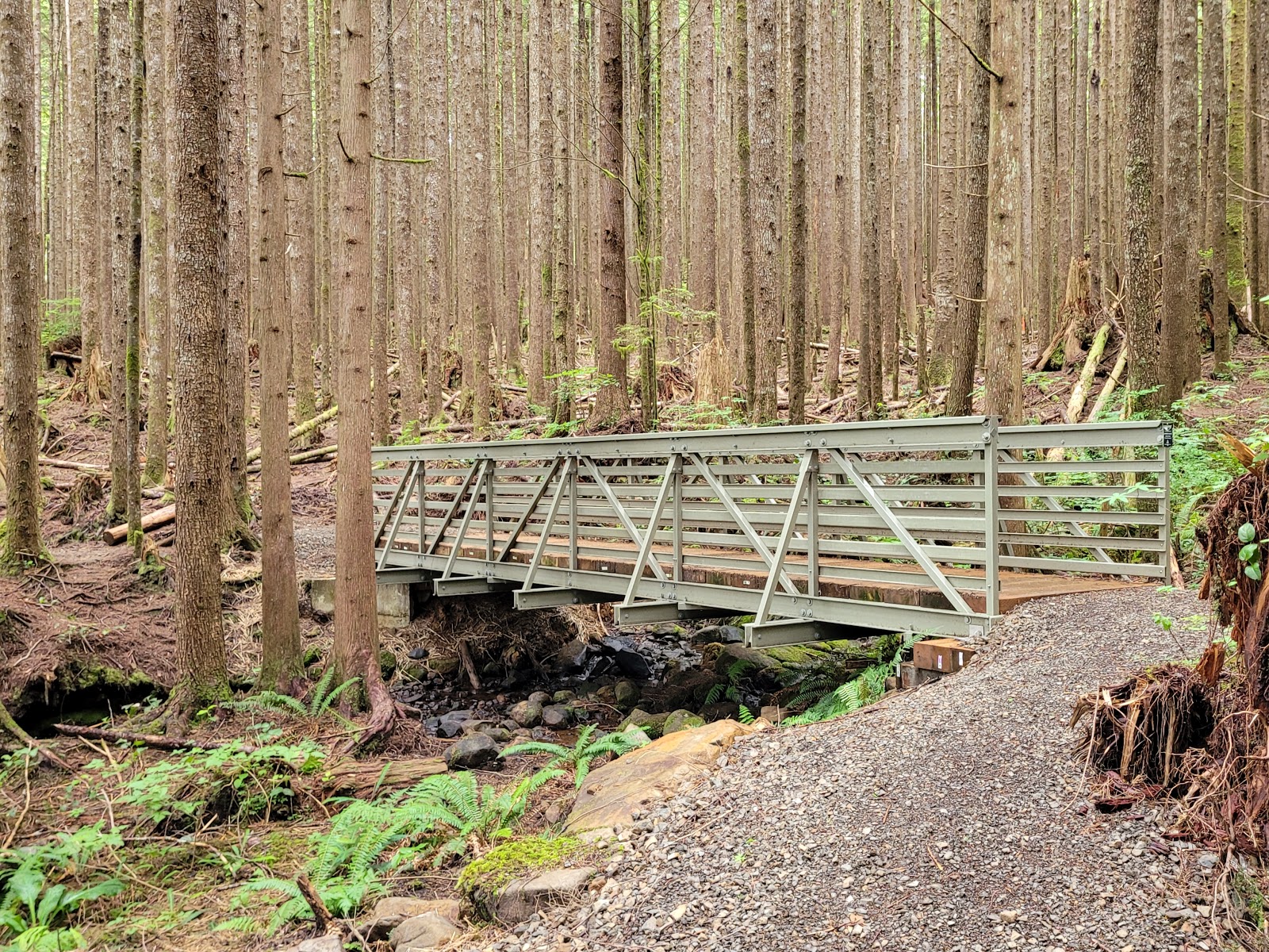 Snag Lake Campground