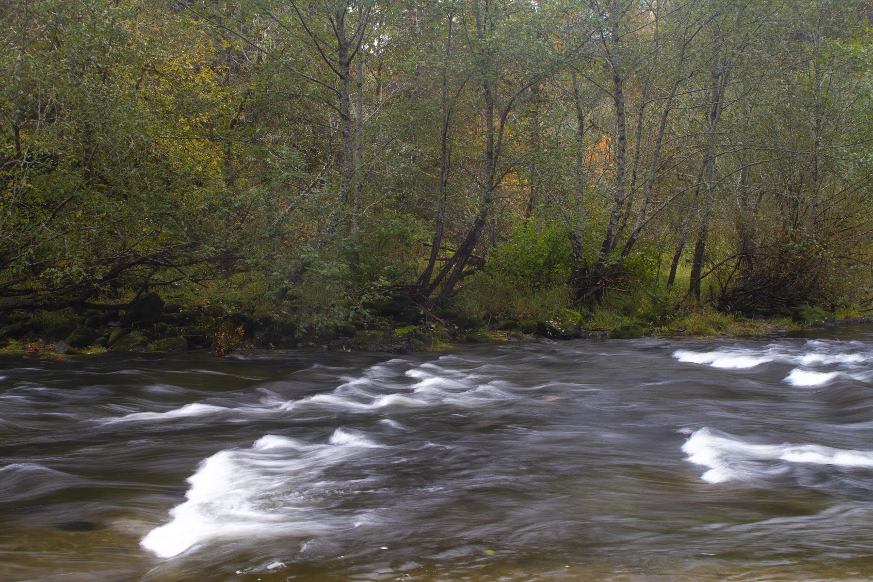 Fawn Creek Campground