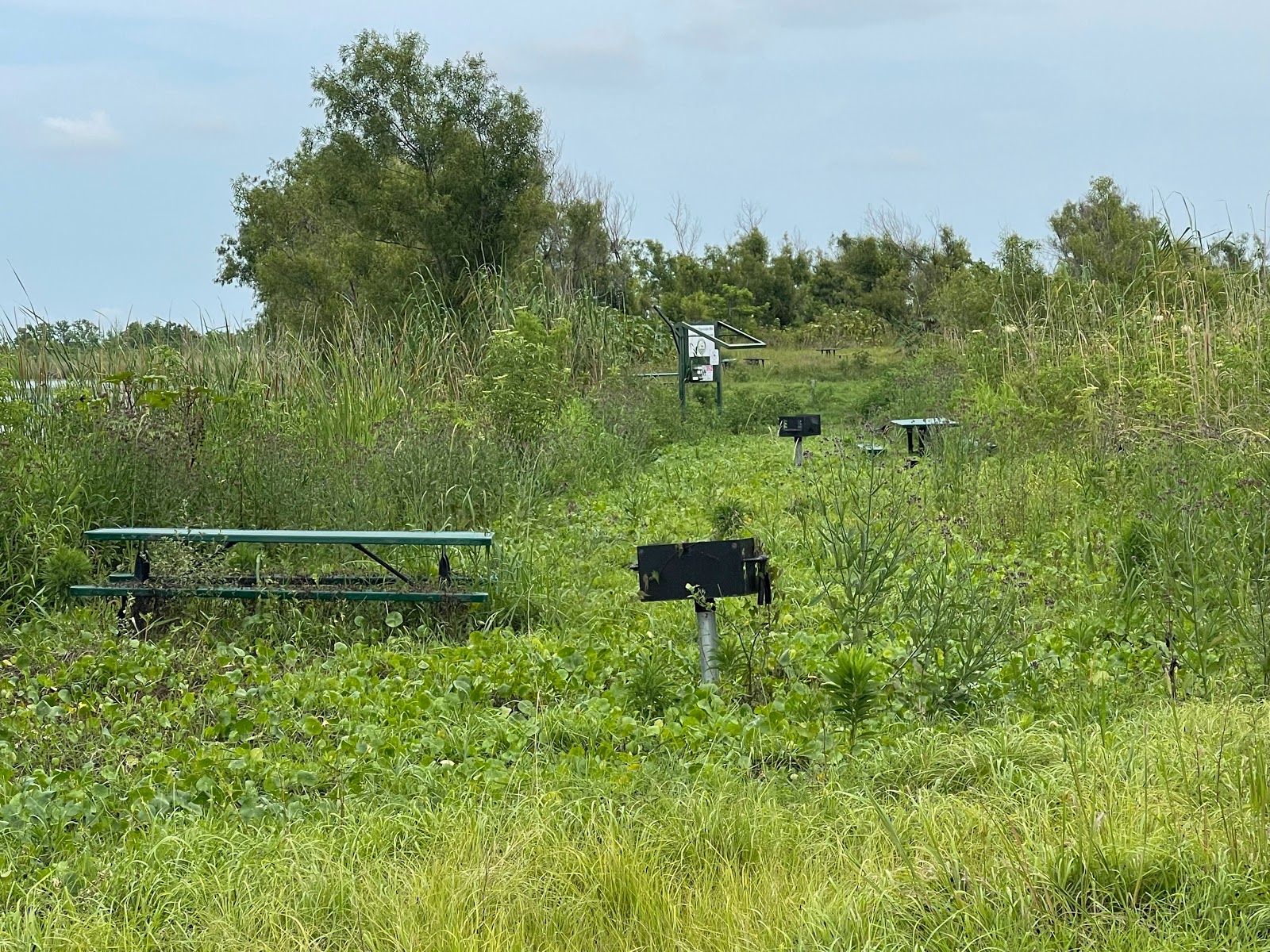 Pass A Loutre WMA, Loomis Pass Campground #1