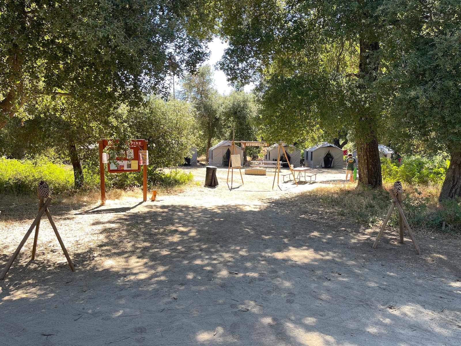 Leaning pine campground