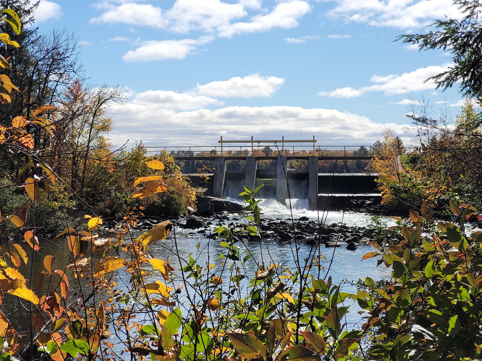 Chute Pond Park & Campground
