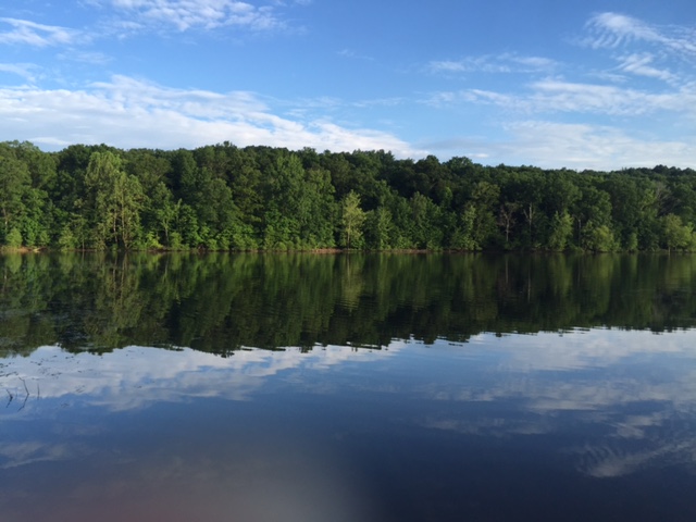 Tipsaw Recreation Area