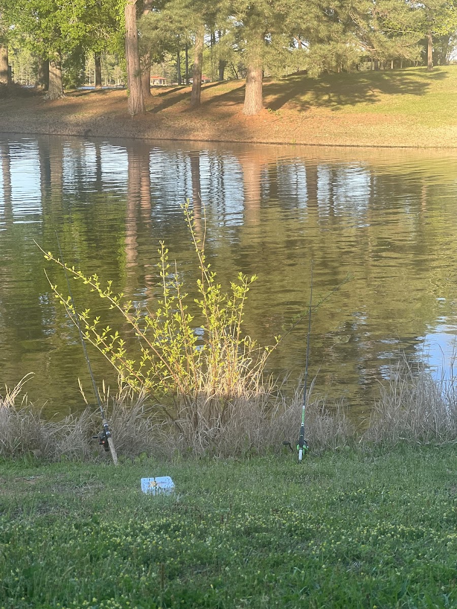 Toledo Bend RV Resort and Cabins