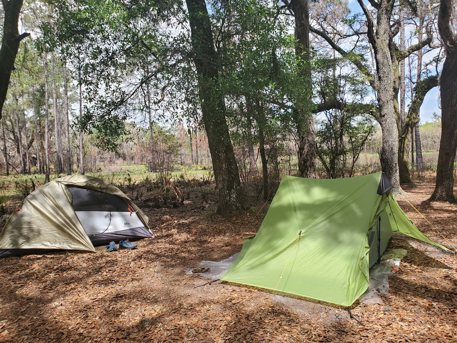 FNST Foster Bridge Campsite (Backcountry)