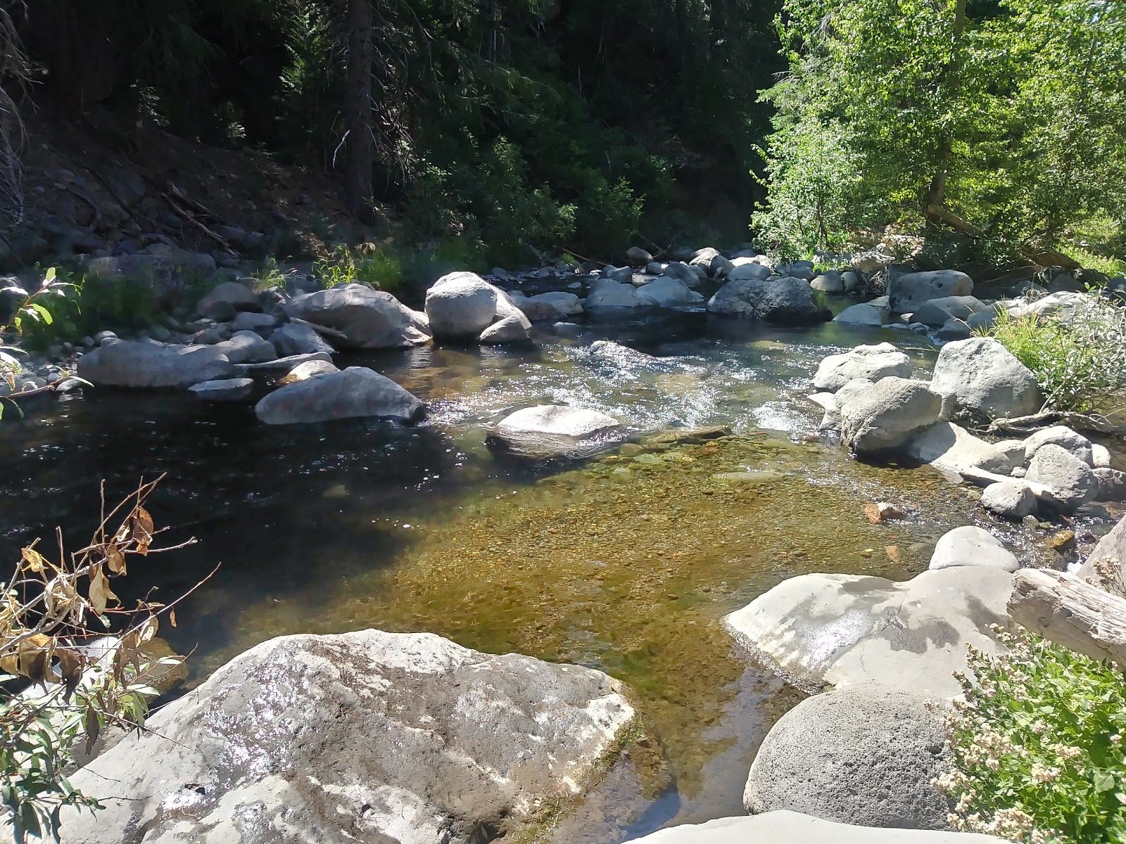 west branch camp road campground
