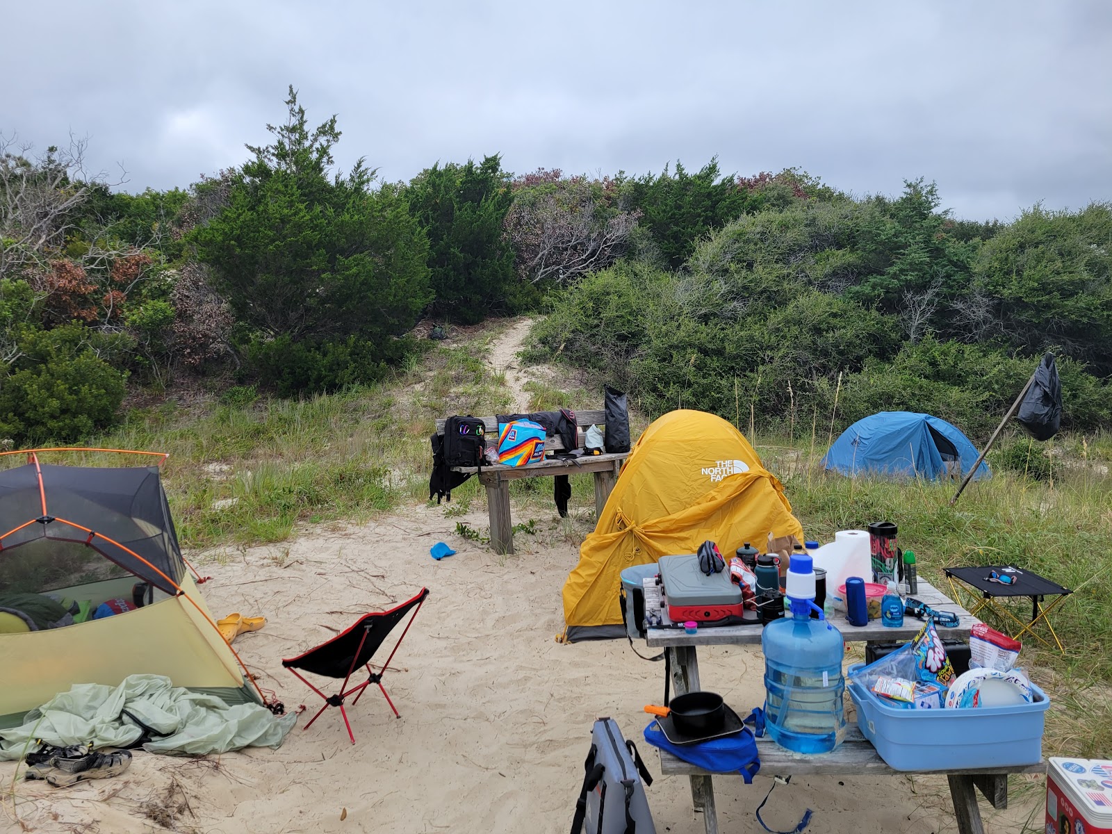 Bear Island Forest Camp