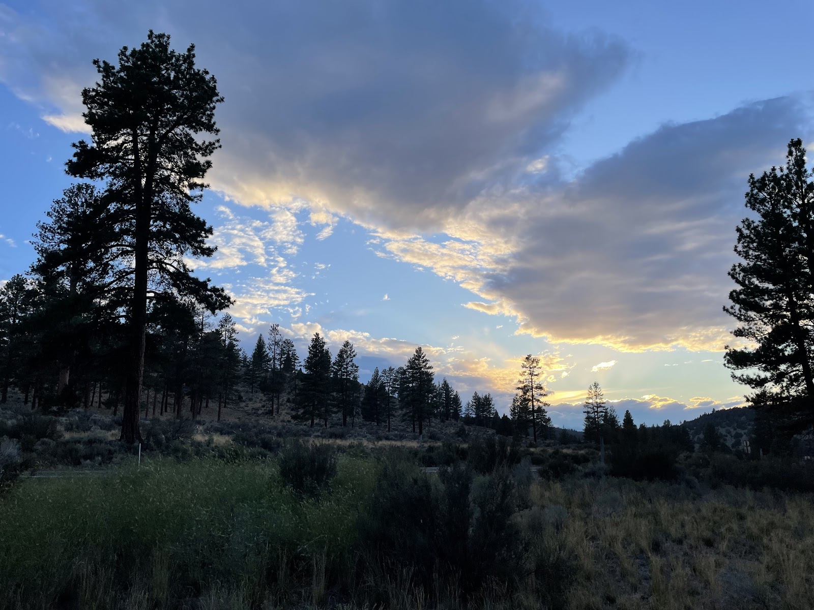 Coyote Ridge Campground