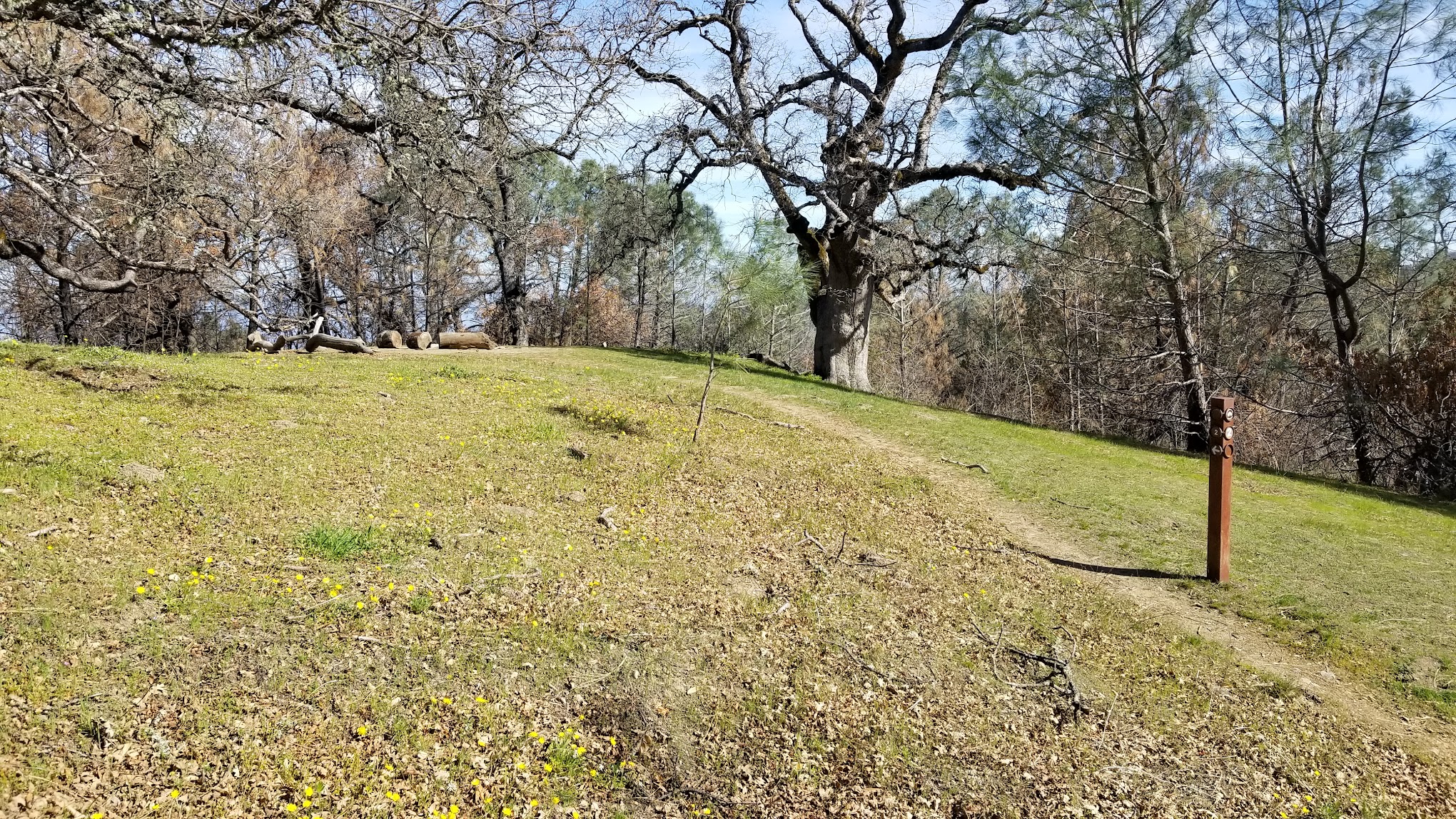 Maggie's Half Acre Camp