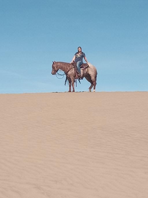 Lake Channel Sand Dunes- BLM Recreation Area