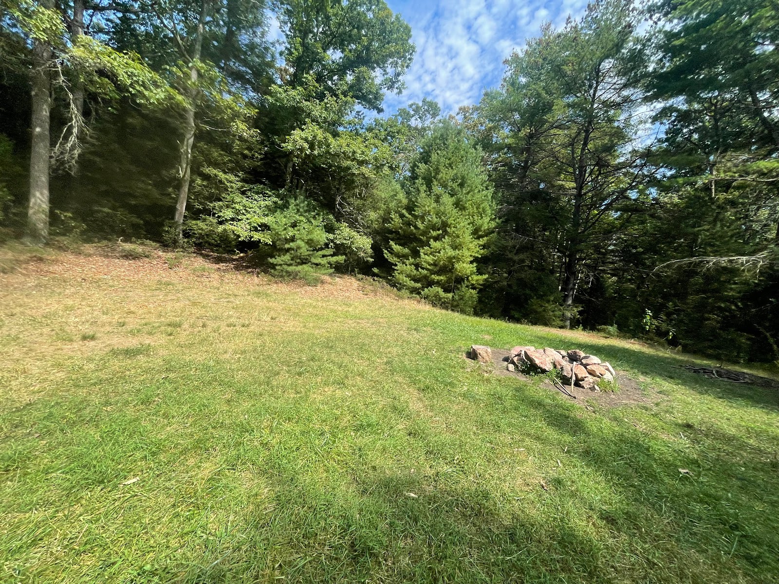 Primitive Campsite #12