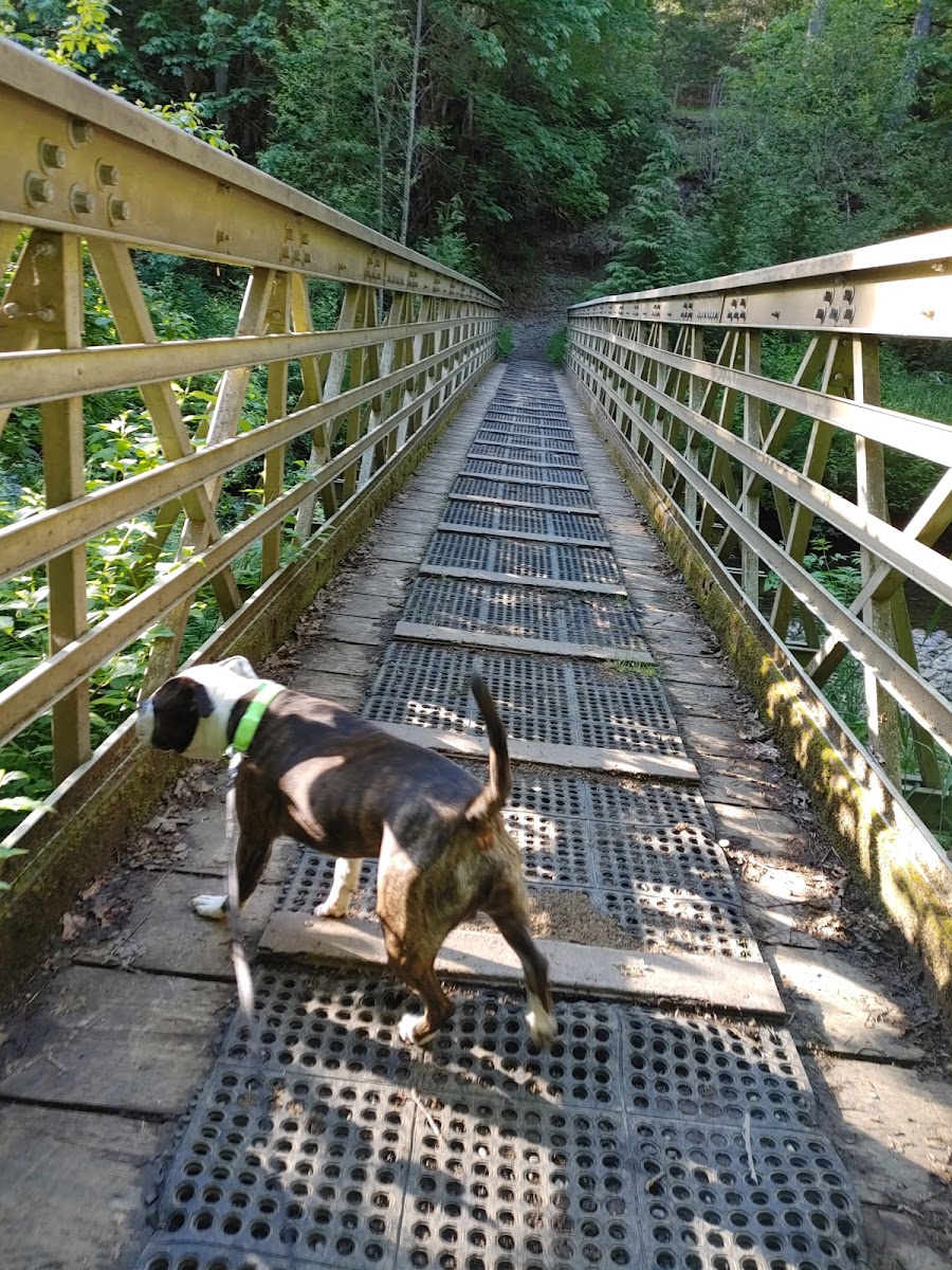 Margaret McKenny Campground