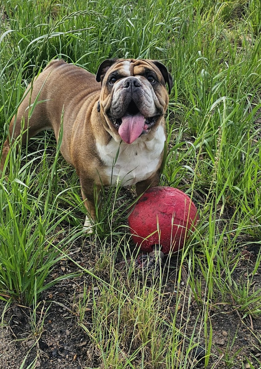 Southern pines rv park