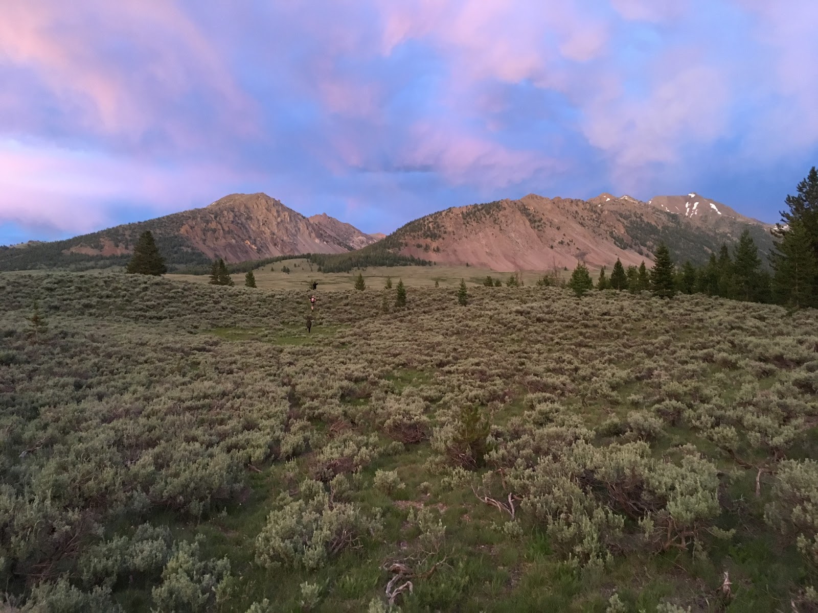 Broad Canyon Campground & Trailhead