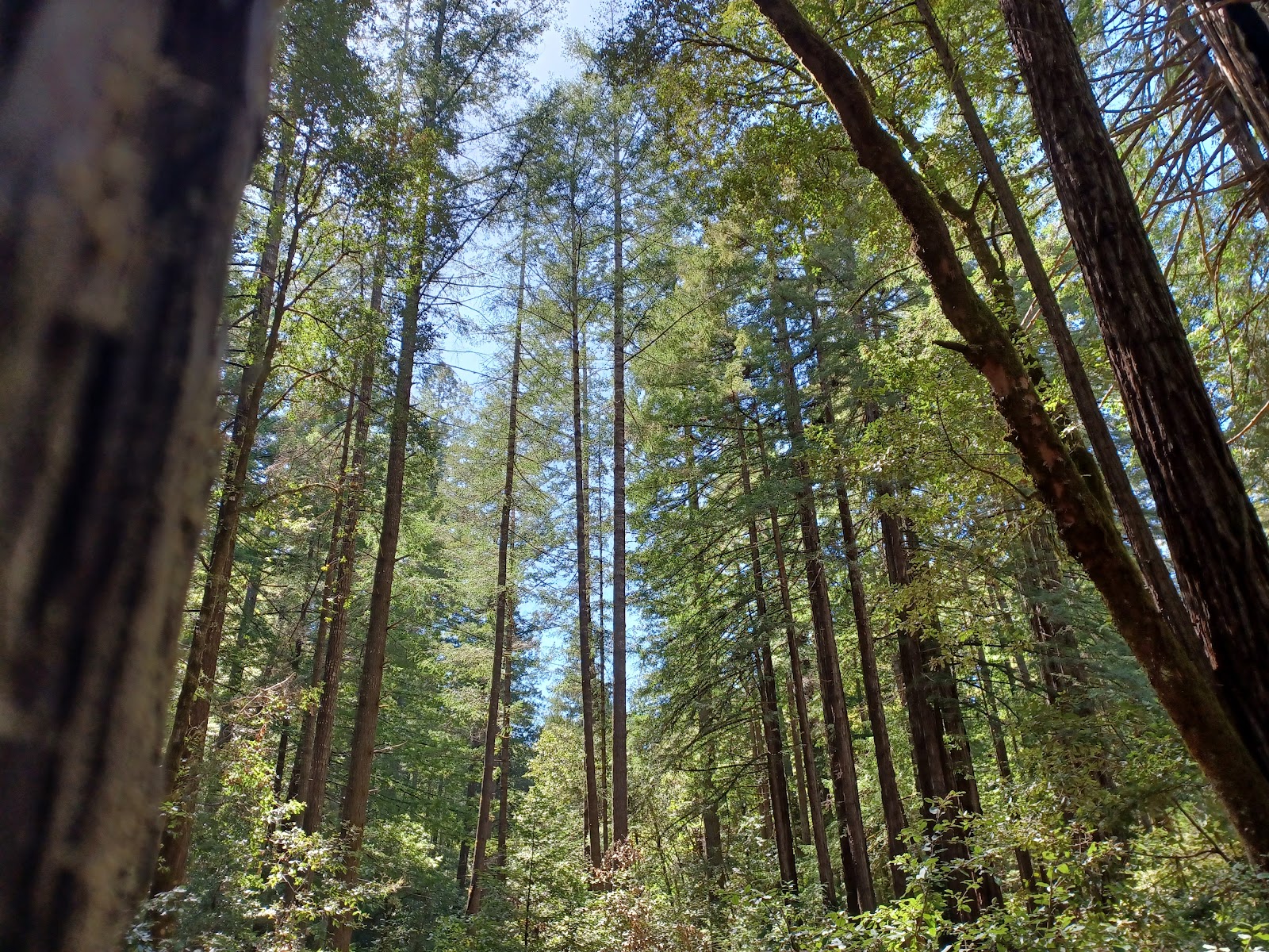 Big River Campground