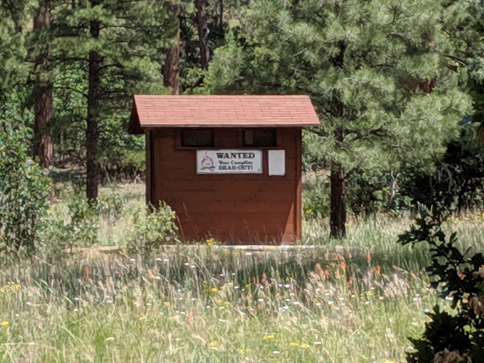 Buzzard Park Campground