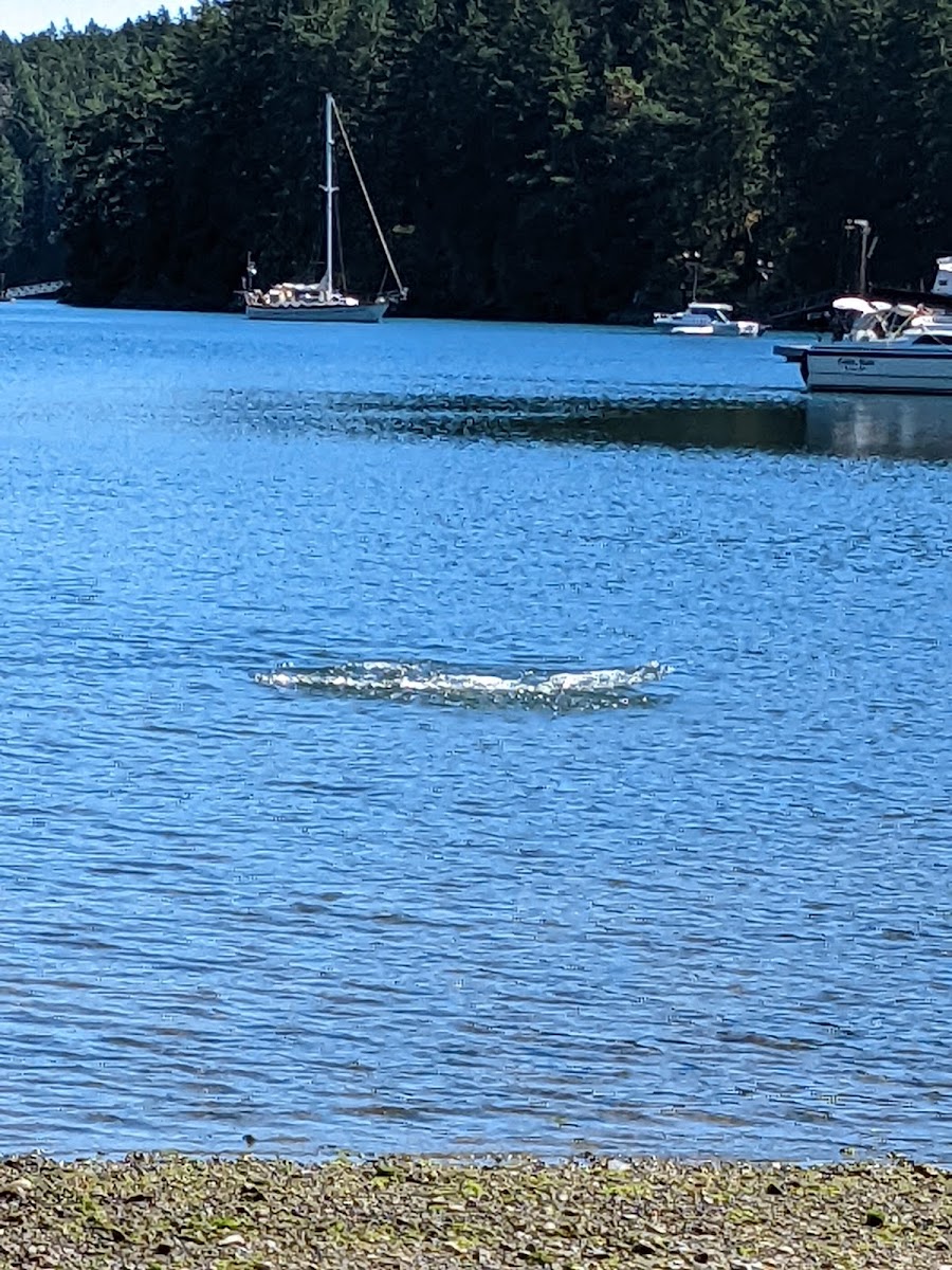 Kristiansen Campground