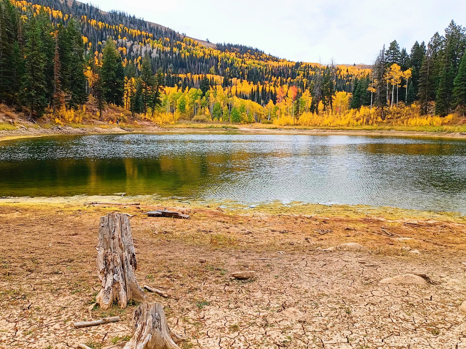 New Canyon Reservoir