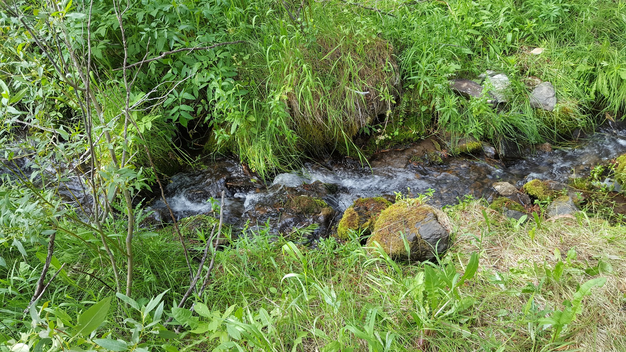 Mill Canyon Campground